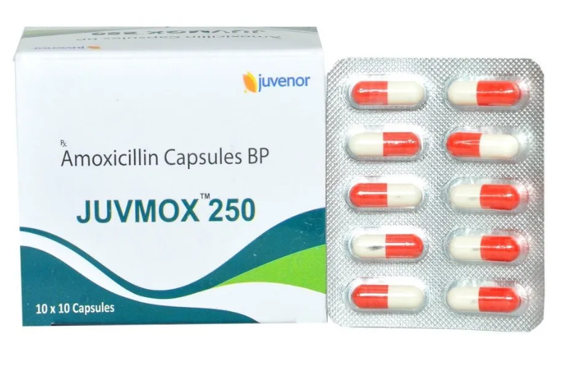 아목시실린 주브목스 250mg (아목실 제너릭)